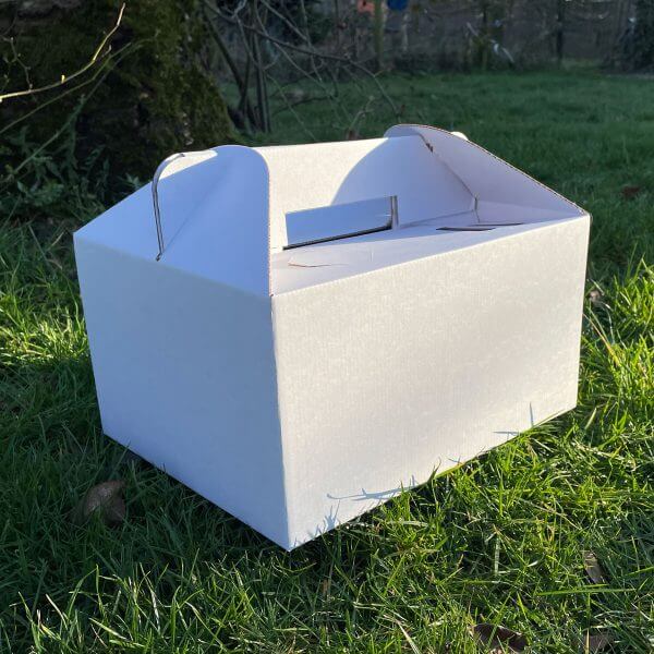 Essenslieferbox aus Karton